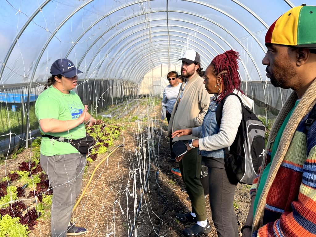 volunteers at the real food farm inside a greenhouse